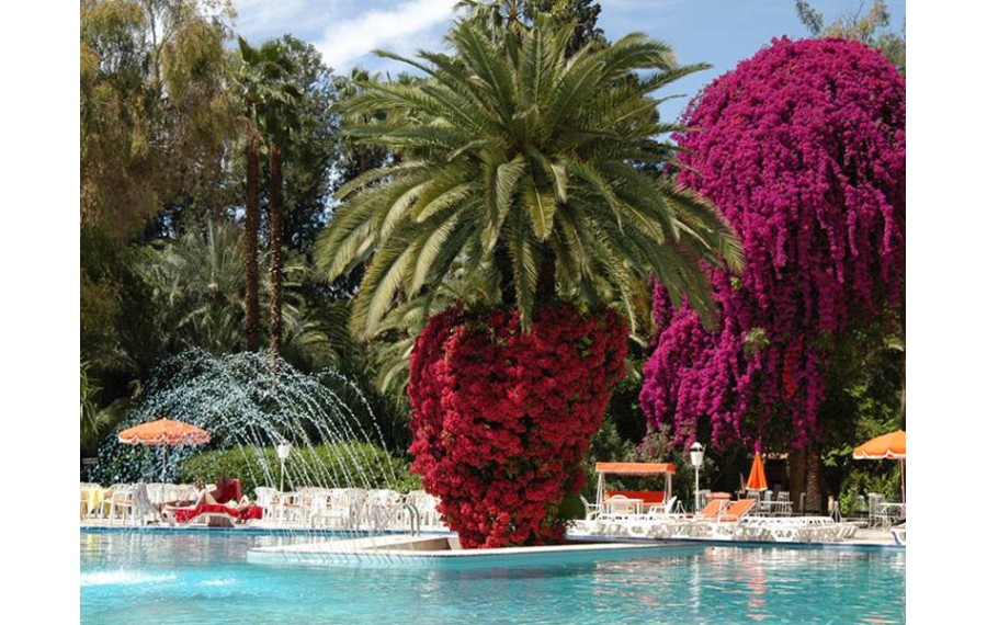 Es Saadi Hotel