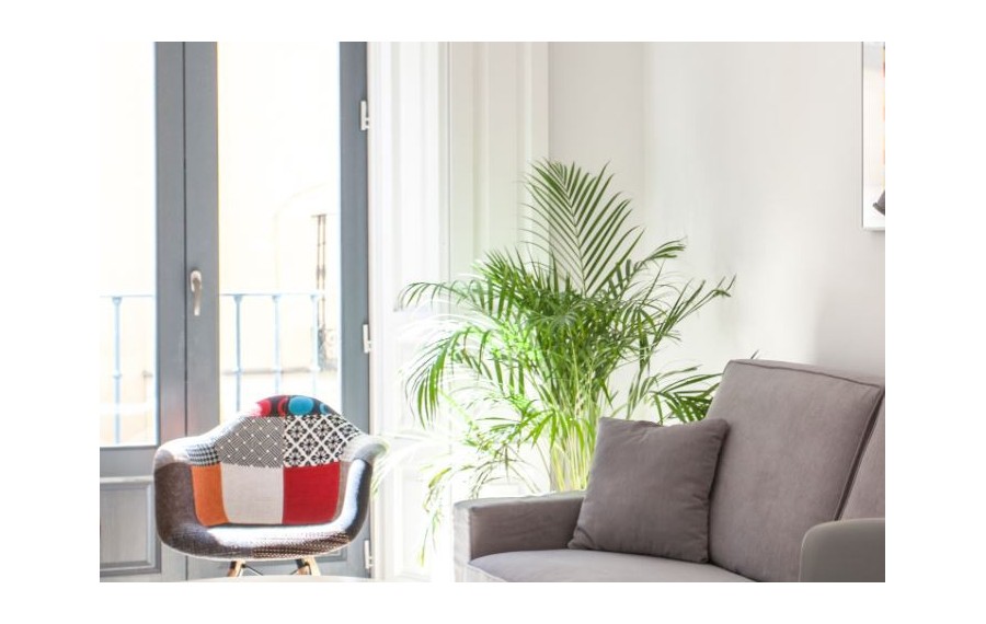 Malasaña Central Suites