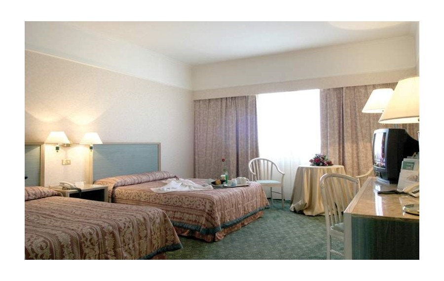 Holiday Inn Roma - Eur...