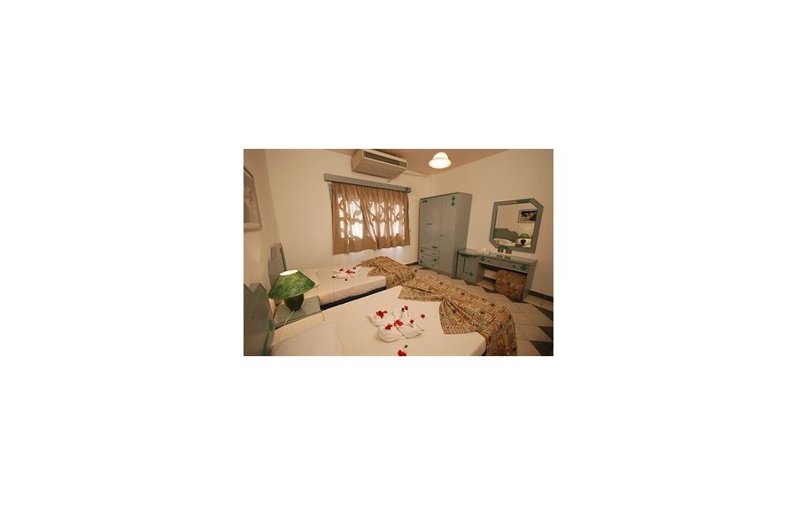 Dive Inn Resort